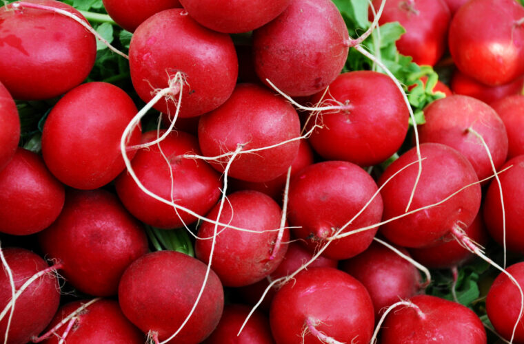 If you’re impatient, try growing radishes